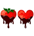 Strawberry in chocolate Strawberry in chocolate vector image