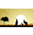 Kangaroo family silhouette vector image