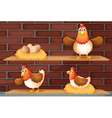 Positions of a hen laying eggs vector image
