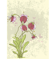 Orchids red vector image