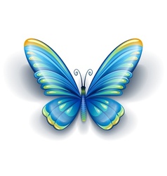 Blue butterfly with color vector image