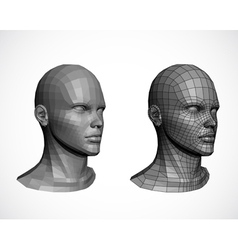 Female heads vector image