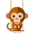 Female monkey vector image