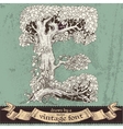 Magic grunge forest hand drawn by vintage font -E vector image