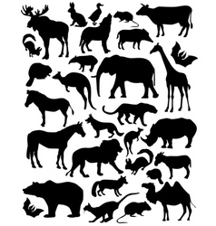 Mammals vector image