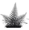 Fern vector image