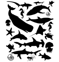 Marine animals vector image