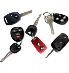 Keys vector image