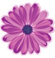 Daisy flower vector image