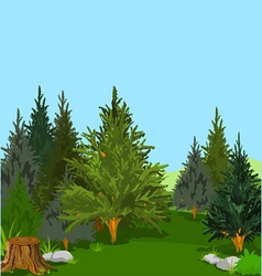 Forest 003a vector image
