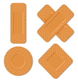 Adhesive bandages vector image