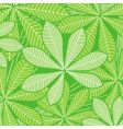 Palm leaves vector image