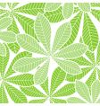 Palm leaves vector image