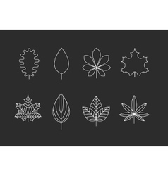 Outlined leaves icons vector image