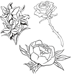 Flower set vector image