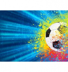 Soccer background vector image
