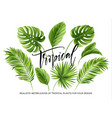 Tropical palm leaves set isolated on white vector image