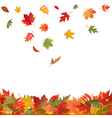 Autumn leaves vector image