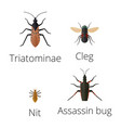 Colorful insects icons isolated wildlife wing vector image