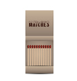 Matchbox isolated vector image