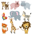 African animals vector image
