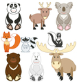 Cartoon animals set vector image