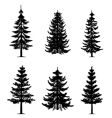Pine trees collection vector image