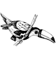 Keel-billed Toucan vector image