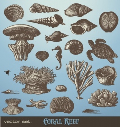 Coral reef vector image