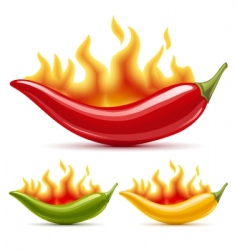 Red hot chili peppers vector image