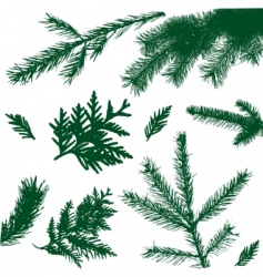 Set branch vector image