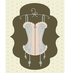 Vintage corset vector image
