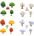 Set of four seasons vector image
