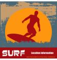 Grunge surfer background vector image