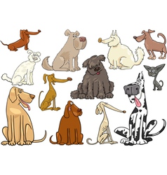 Cartoon dogs or puppies big set vector image
