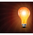 Light bulb vector image
