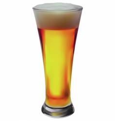 Beer vector image