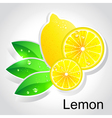Lemon vector image
