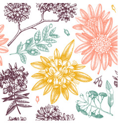 exotic plants garden seamless pattern vector image