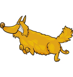 Happy shaggy running dog vector image