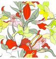 Narcissus flowers vector image
