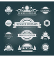 Retro summer design elements vector image