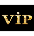 Vip golden card vector image