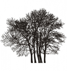 Group tree vector image