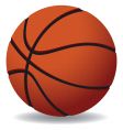 Basketballs vector image