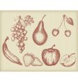 Vintage fruits set vector image