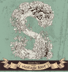 Magic grunge forest hand drawn by vintage font - S vector image