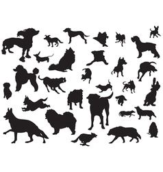 Dogs silhouette set vector image