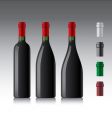 Wine bottles vector image