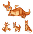 Roos vector image